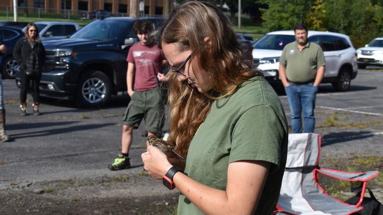 365英国上市杜波依斯分校 Wildlife Technology Student Piper Schwenk examines a song sparrow. 